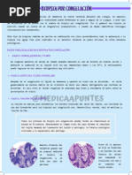 Biopsia Por Congelación