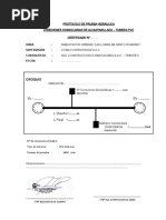 Protocolo de Conexciones Desague