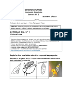 Ciencias Naturales Segundo Basico Contenidos Priorizados Lunes 20 Se Sept