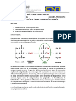 Práctica 3 Saponificación de Lípidos