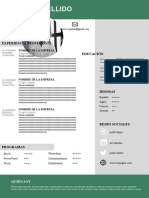 79 Curriculum Vitae Rigido