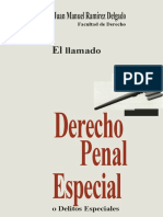 El Llamado Derecho Penal Especial