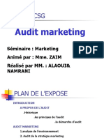 Audit Marketing