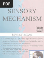 Sensory Mechanism: Almozara Francisco Villaflores Lorenzo