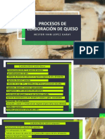 Procesos de Elaboración de Queso @ PDF