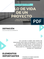 Ciclo de Vida de Un Proyecto PDF