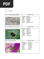 Burdah Asni, Arthropoda, Unit 3