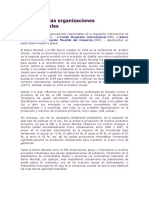 El Papel de Las Organizaciones Internacionales