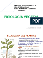 1.3a FISIOLOGÍA. Mecanismo de Transporte de Agua