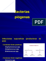 5.-Bacterias Piogenas (Cocos Gram Positivos y Otras)