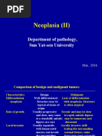 Neoplasia (II) : Department of Pathology, Sun Yat-Sen University