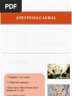 Anestesia Caudal