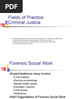 Fields of Practice: Criminal Justice