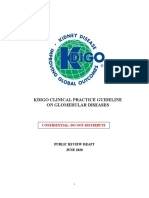 KDIGO GN GL Public Review Draft - 1 June 2020 PDF