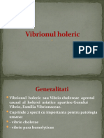 Vibrionul Holeric PPP