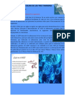 ADN Caracteristicas Hereditarias de Los Organismos