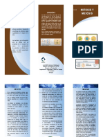 Folleto Mitosis y Meiosis
