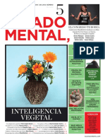 El Estado Mental Eem5 PDF