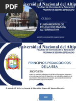 Principios Pedagogicos de Eba Lacc 1