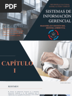 Sistema de Informacion Gerencial-1