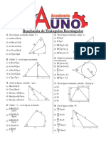 03 Resolución de Triángulos Rectángulos (PO Set Dic 08)