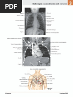 Atlas de Anatomia Humana Netter 6ed Medilibros - Com 120