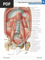 Atlas de Anatomia Humana Netter 6ed Medilibros - Com 147