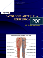 Patologie Arteriala