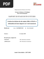 Elfirdoussi Laajaj PDF