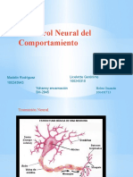 El Control Neural Del Comportamiento