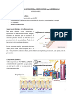 6 - Biomembranas