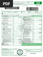 Declaraciòn de Iva Formato 300