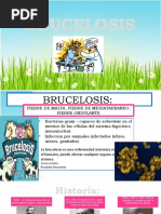 Brucelosis