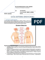 8 Guia Sistema Endocrino