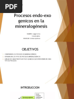 Geologia Procesos Mienralogenicos