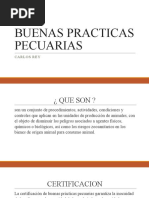 Buenas Practicas Pecuarias