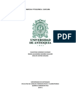 Práctica Nº6 - Marcha Fitoquímica - Curcuma