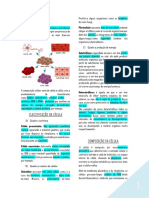 Célula PDF