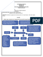 Taller Organizacion Cuerpo Humano