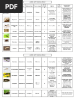 Cuadro Comparitvo de Insectos