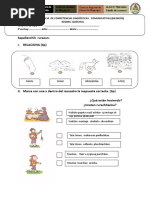 Prueba Quechua