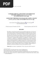 Comportamiento Agronómico de Injertos de Lulo de Castilla en Patrones de Agronomic Performance of Lulo de Castilla Grafts