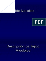 Tejido Mieloide PDF