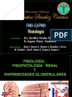 Fisiologia, Fisiopatologia Renal y Enfermedades Glomerulares Diapositivas