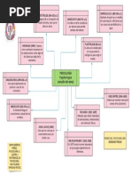 Diagrama Origen de Psicología PDF