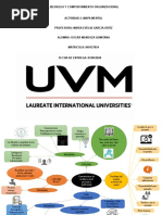 Mapa Mental. Características Liderazgo