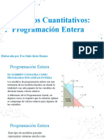 Programacion Entera