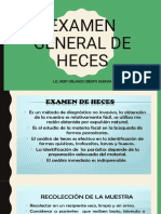 Examen General de Heces