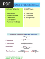 Variaciones Cromosomicas