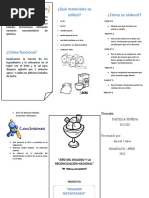 Triptico Helado Instantaneo 2018